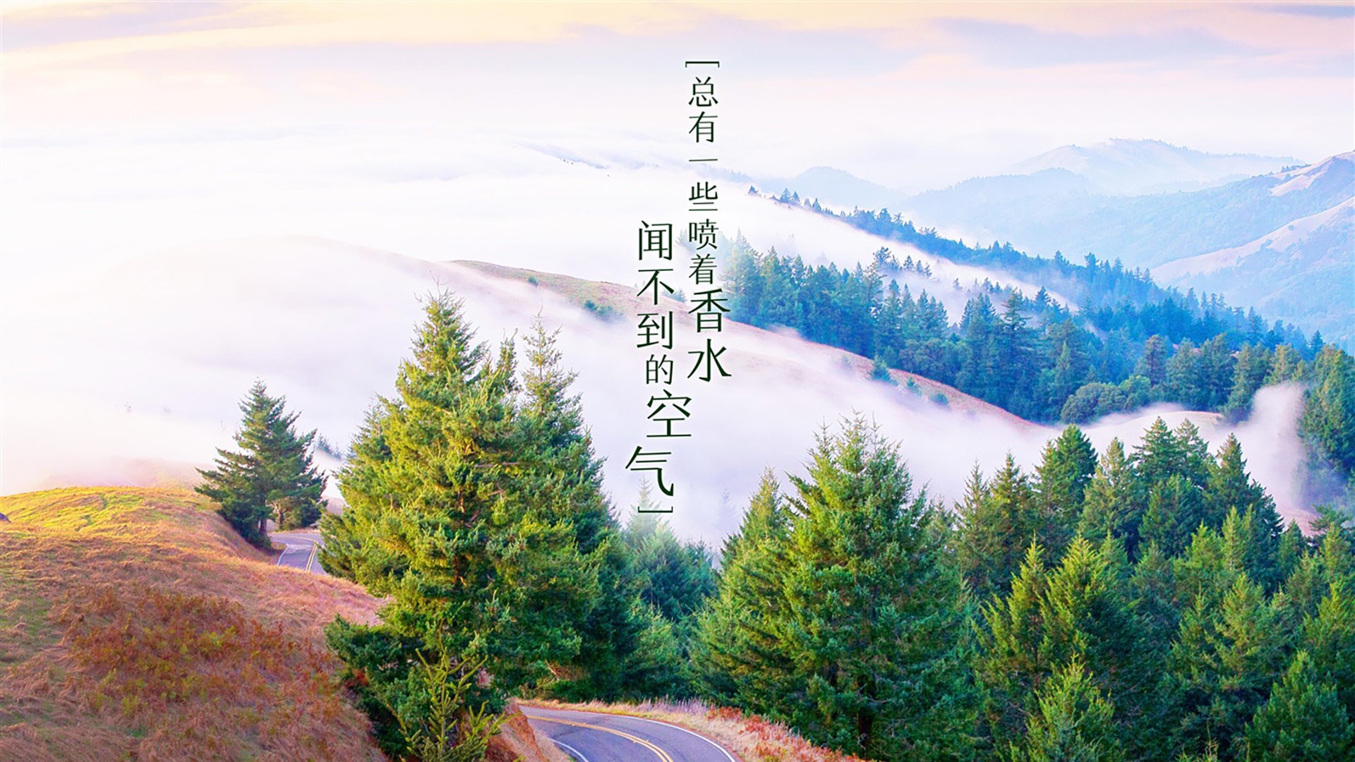 爱游戏ayx-体育产业资本投资趋势，体育产业发展趋势资本化