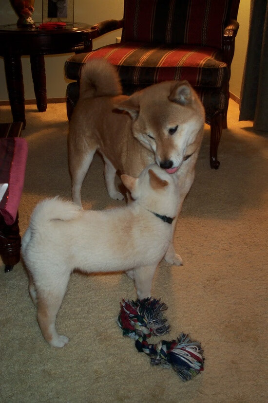 爱游戏体育app-100米自前50米速度榜单揭晓,百米前50米谁最快