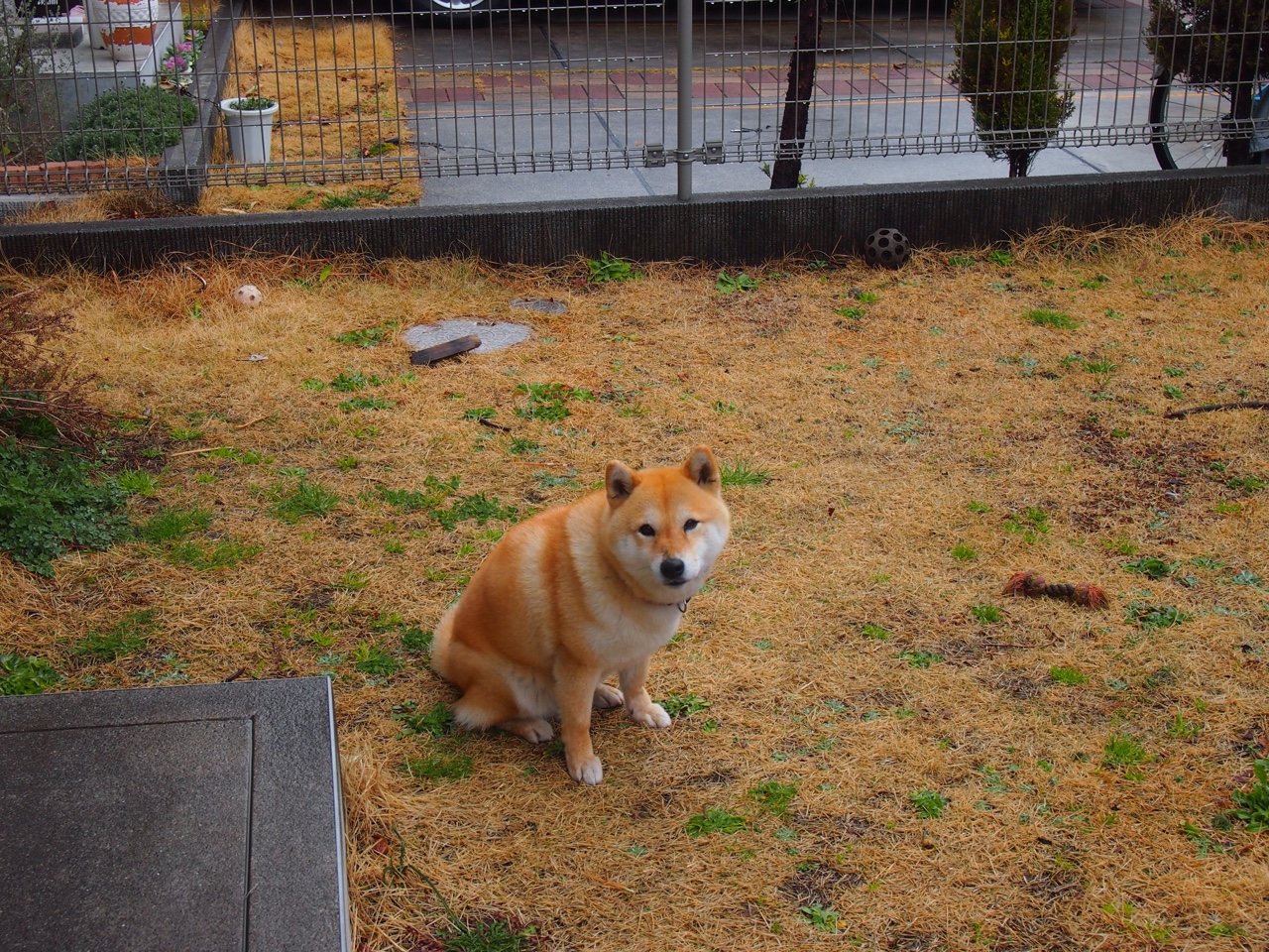 爱游戏app活动-CBA联赛商业价值持续提升吸引更多投资,cba商业化发展