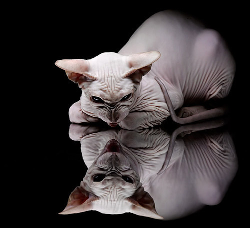 爱游戏入口-体测标准落地推动学校体育常态化,学校体质测试实施方案