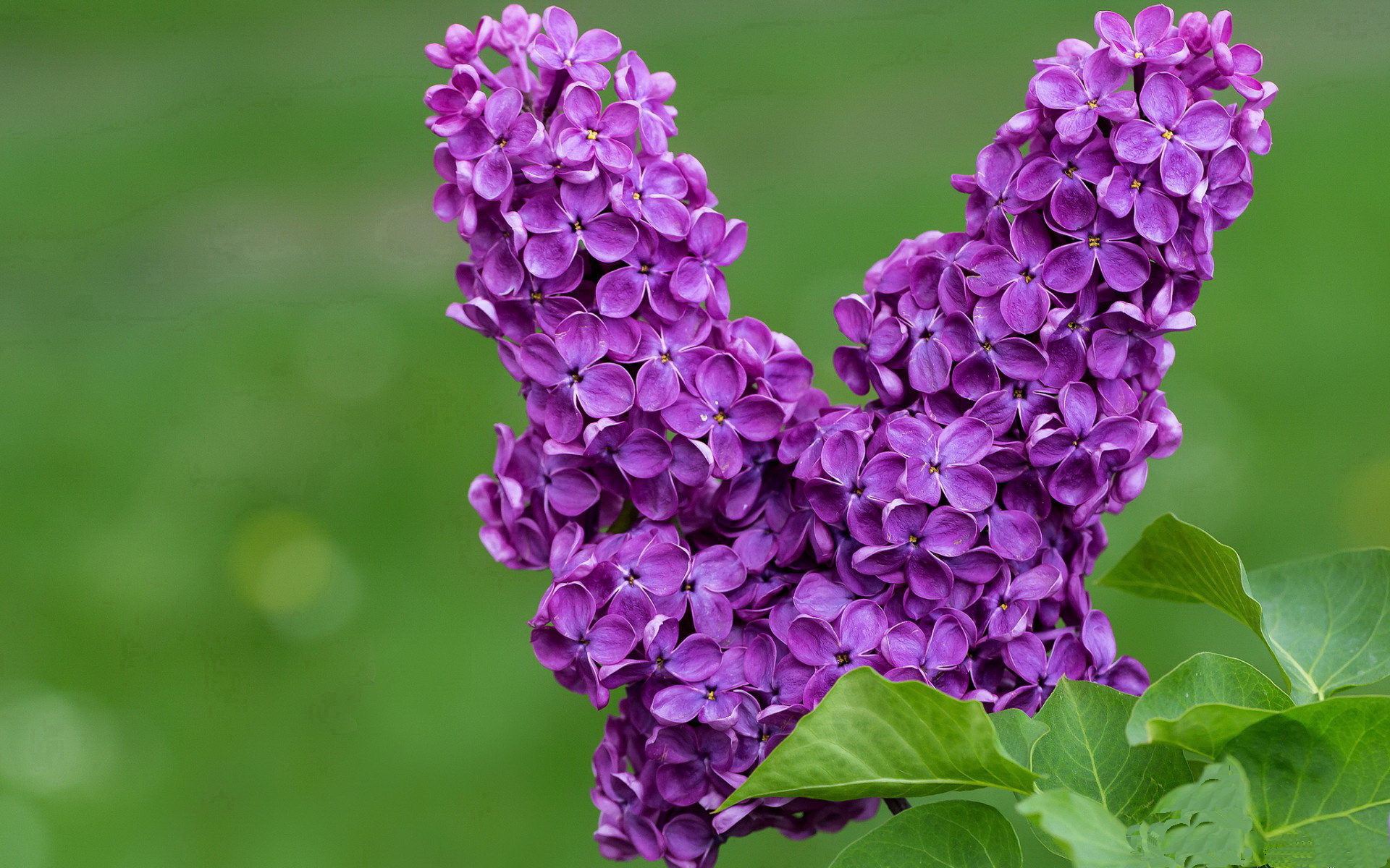 爱游戏app推荐-划频节奏分布热图:中国更集中,美国更发散,划幅和划频