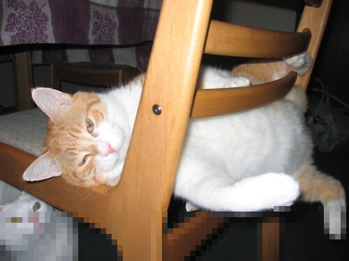 爱游戏app安装-外教引进缺少科学评估体系,外教引进缺少科学评估体系怎么写