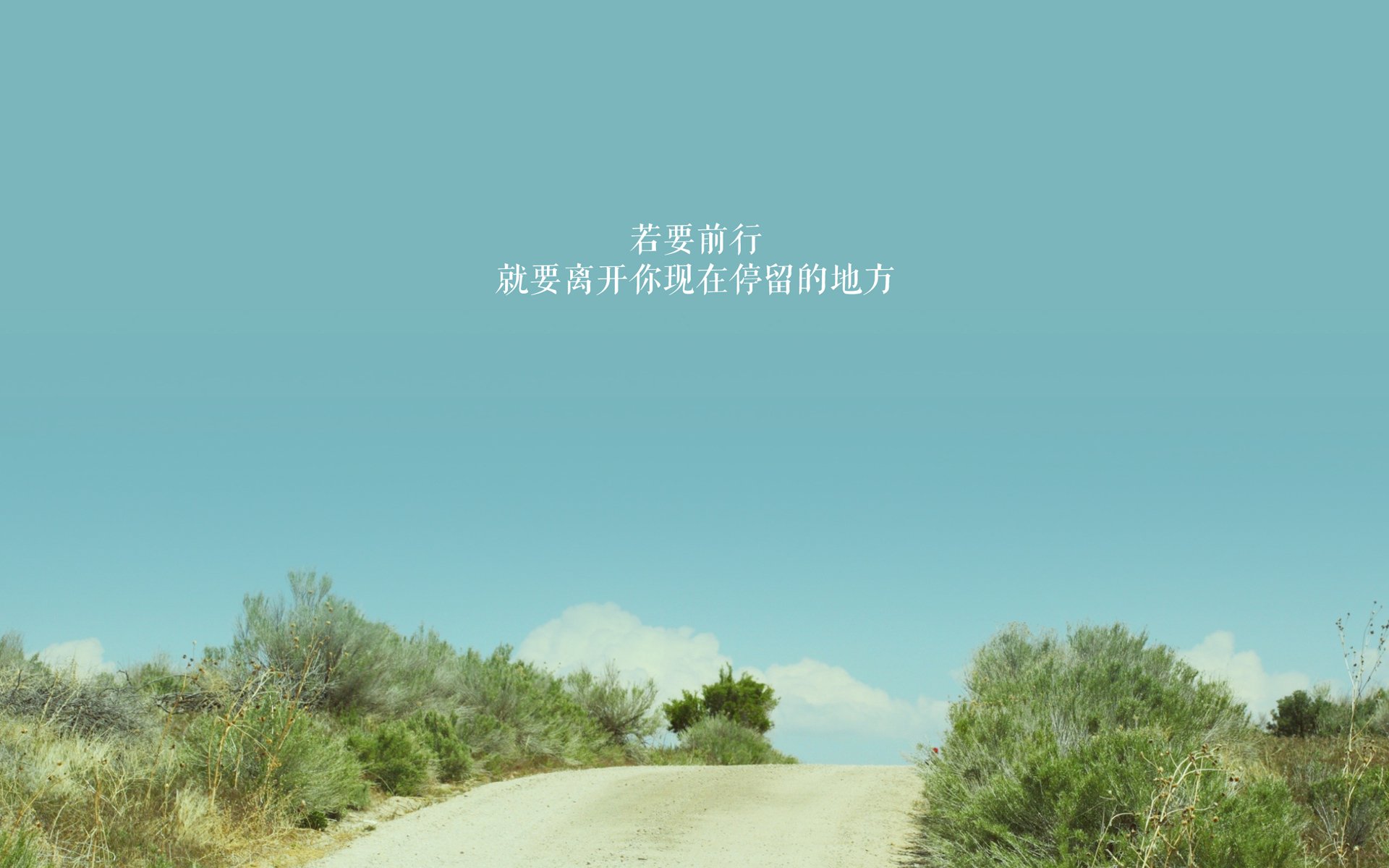 爱游戏-山西龙狮面对强队不惧挑战全力争胜,龙狮队简介