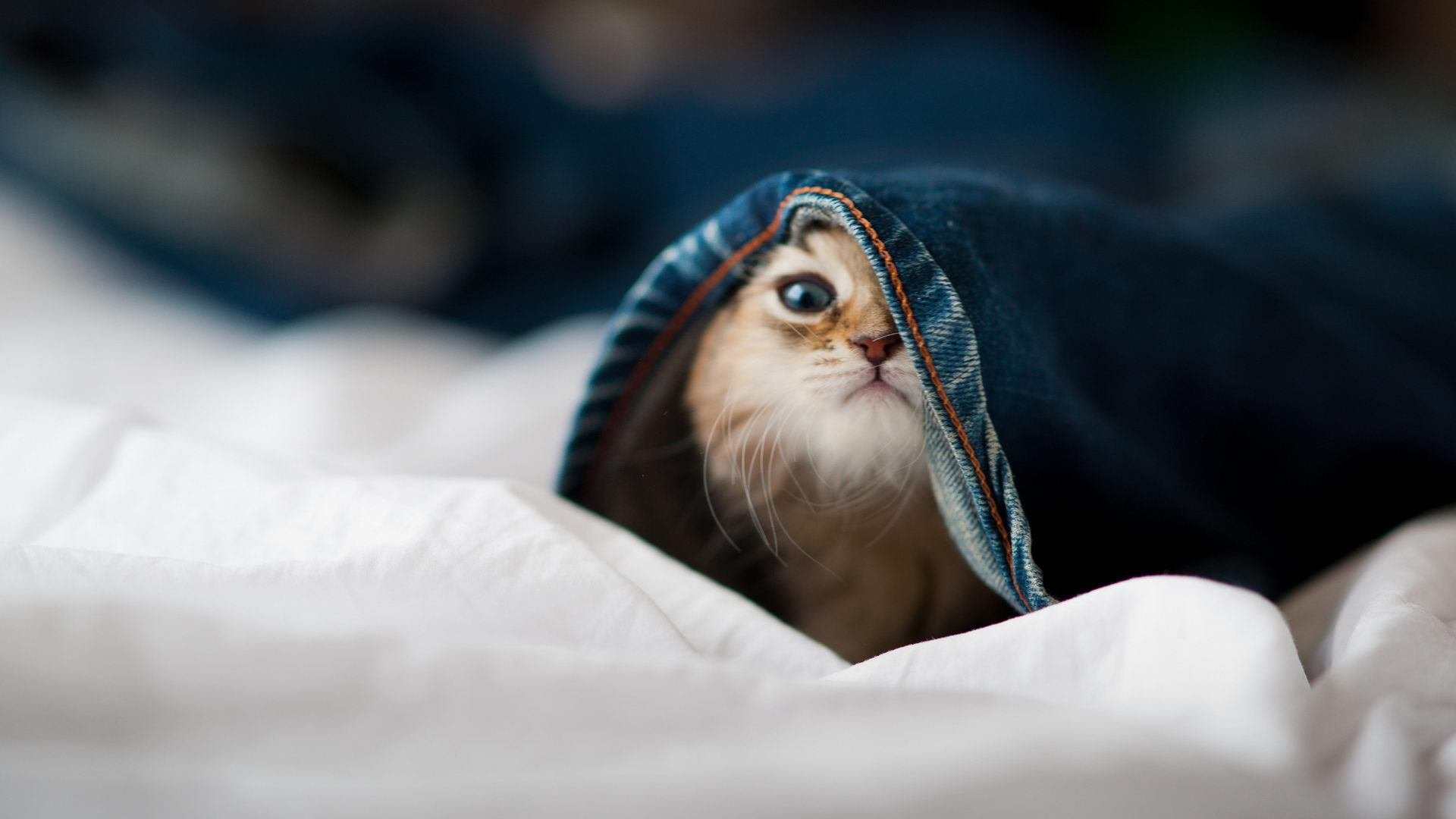 爱游戏官网充值-德国队的未来发展思路:如何在国际乒联混合团体世界杯中实现突破