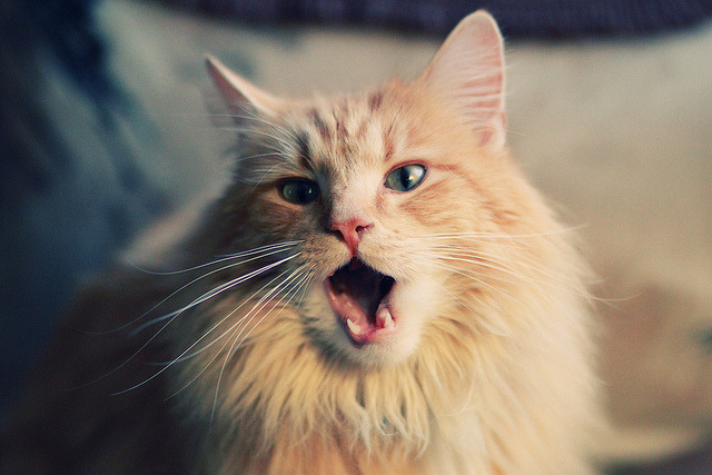 爱游戏入口-节奏掌控是否是球队领袖的必备能力之一,节奏控制