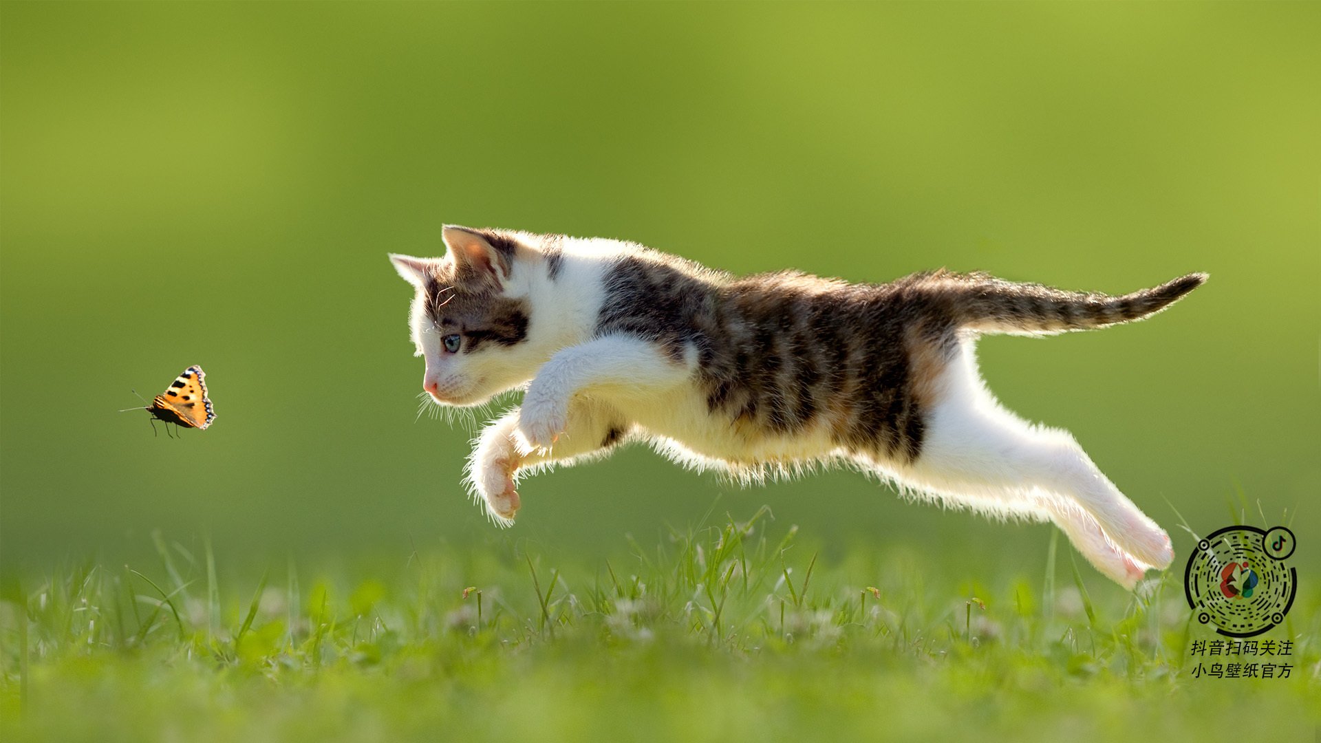 爱游戏app下载-国家队推广交叉训练计划增强球员身体协调能力,健身中交叉训练法