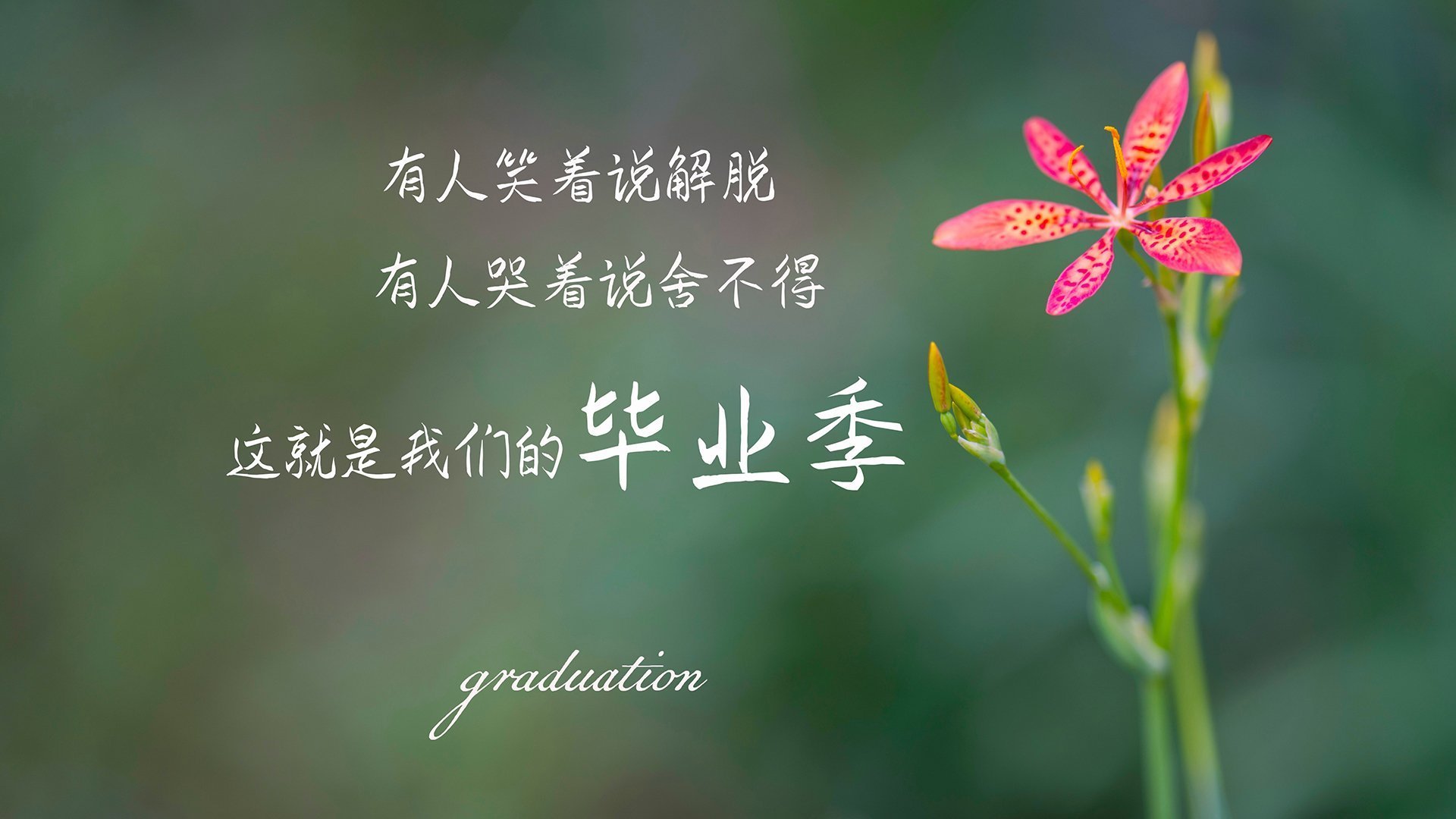 爱游戏官网充值-巴西队在南美预赛中状态火热,晋级稳当